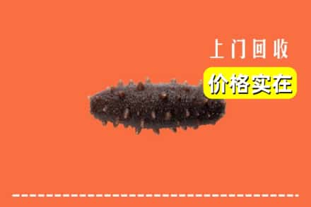 收购资讯:保定市涿州回收海参