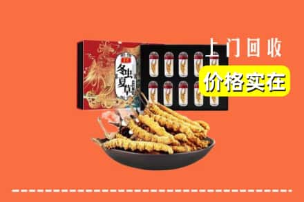 保定市涿州回收虫草